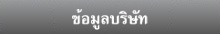 ข้อมูลบริษัท